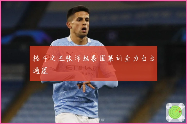 格斗之王张沛勉泰国集训全力出击通蓬